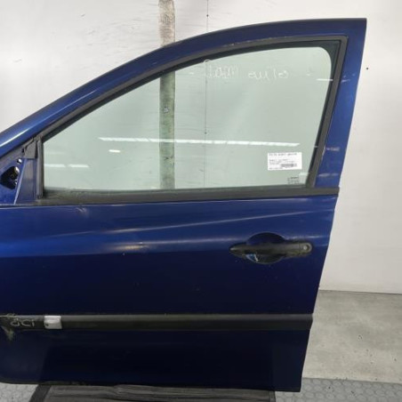 Porte avant gauche RENAULT CLIO 3 Photo n°1