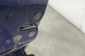 Porte avant gauche RENAULT CLIO 3