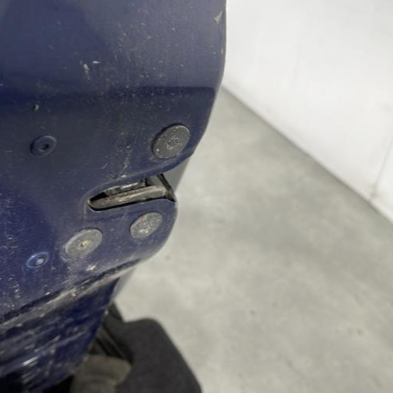 Porte avant gauche RENAULT CLIO 3 Photo n°3