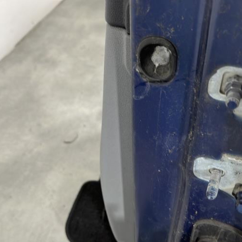 Porte avant gauche RENAULT CLIO 3 Photo n°4