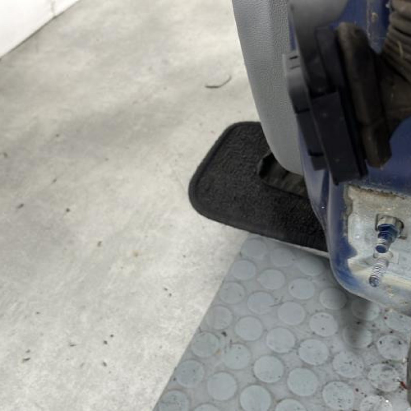 Porte avant gauche RENAULT CLIO 3 Photo n°5