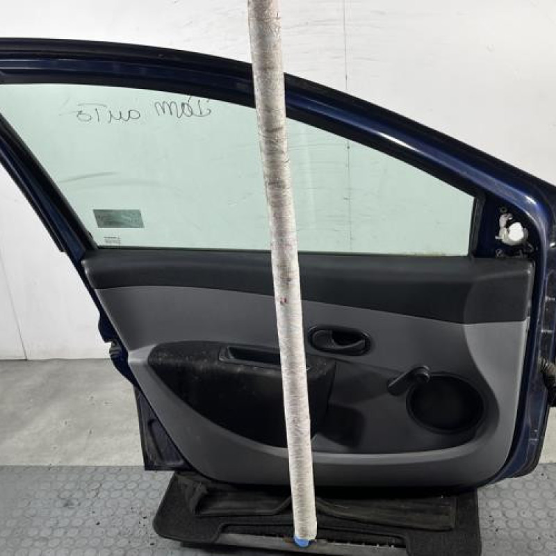 Porte avant gauche RENAULT CLIO 3 Photo n°6