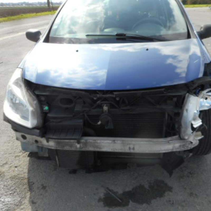 Porte avant gauche RENAULT CLIO 3 Photo n°7
