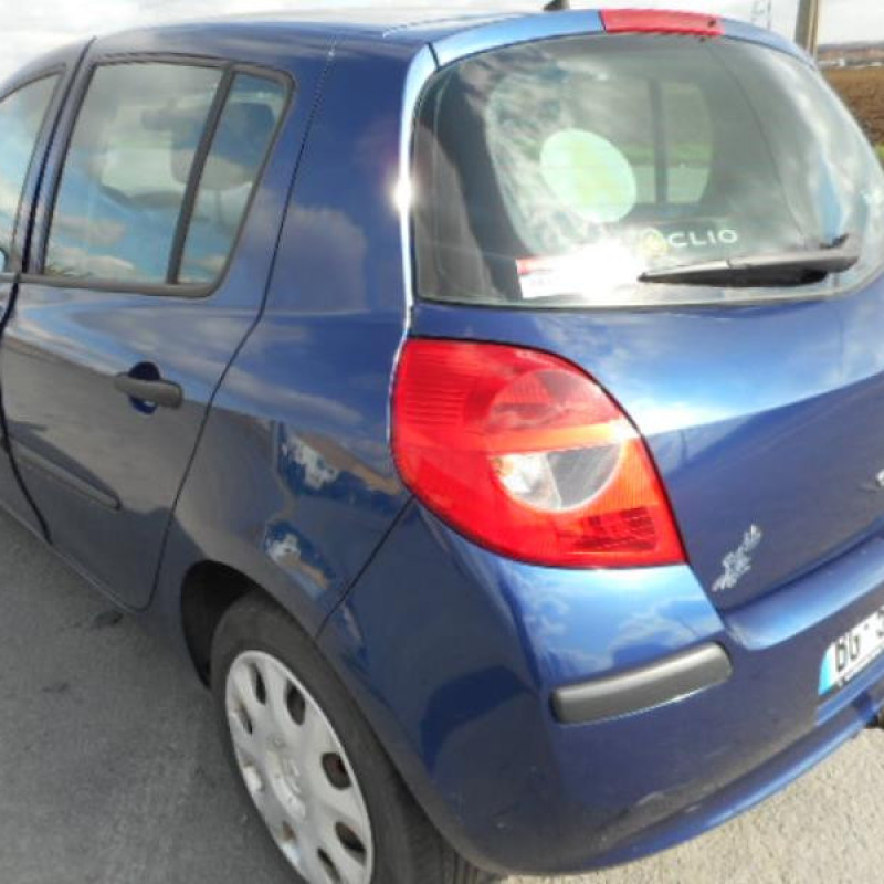 Porte avant gauche RENAULT CLIO 3 Photo n°8