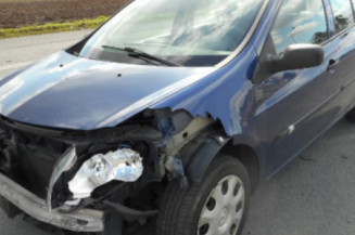 Porte avant gauche RENAULT CLIO 3