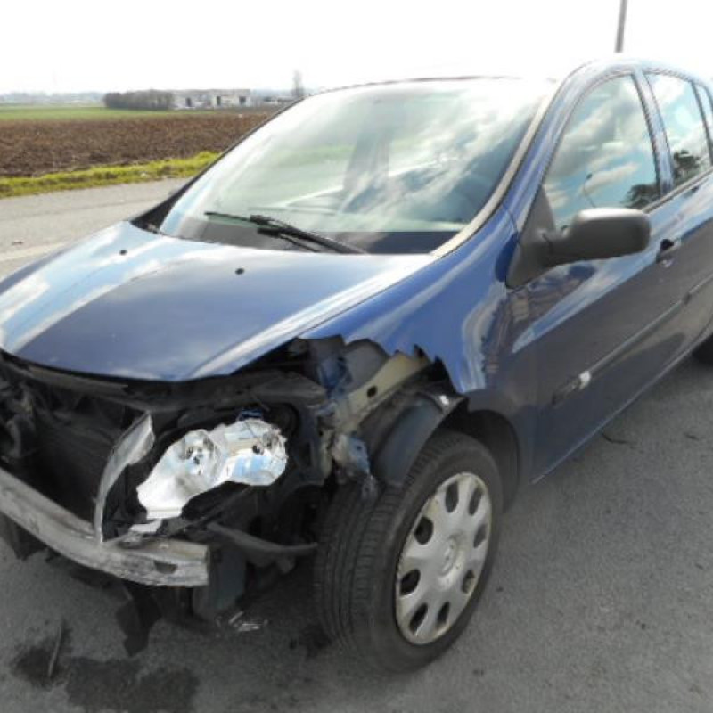 Porte avant gauche RENAULT CLIO 3 Photo n°9