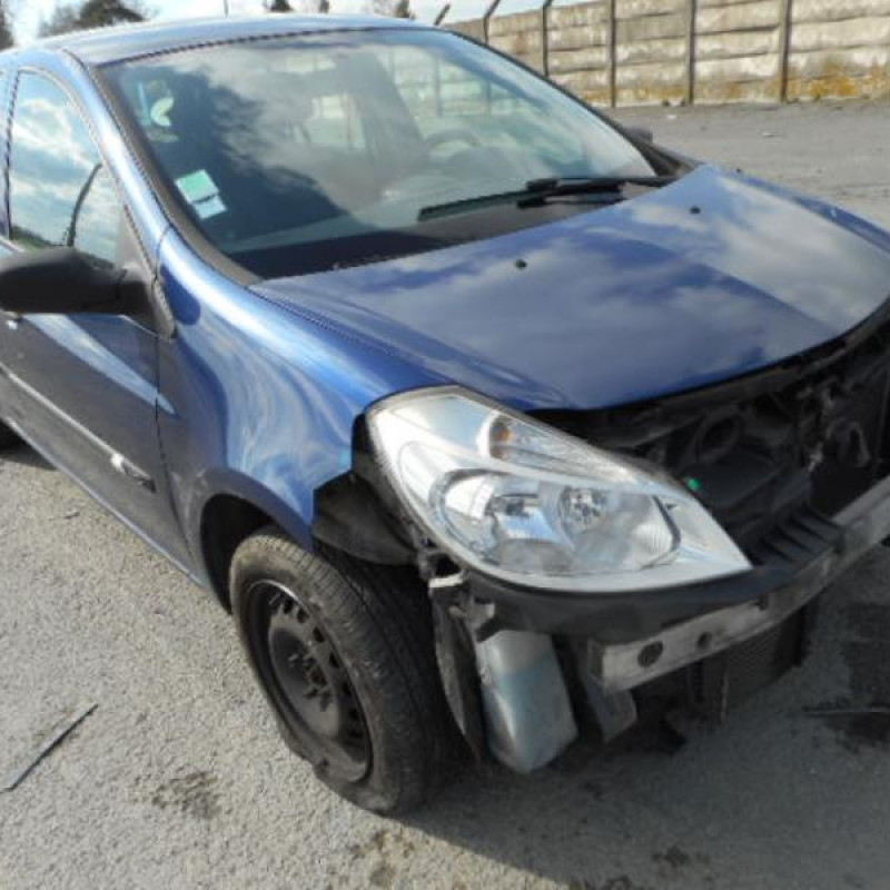 Porte avant gauche RENAULT CLIO 3 Photo n°13