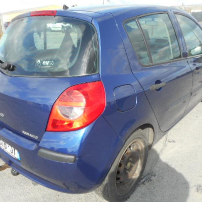 Porte avant gauche RENAULT CLIO 3 Photo n°14