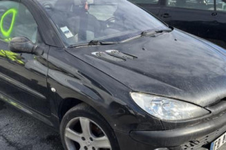 Boitier servitude moteur (BSM) PEUGEOT 206