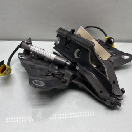 Charniere de capot VOLKSWAGEN TOURAN 3 Photo n°1