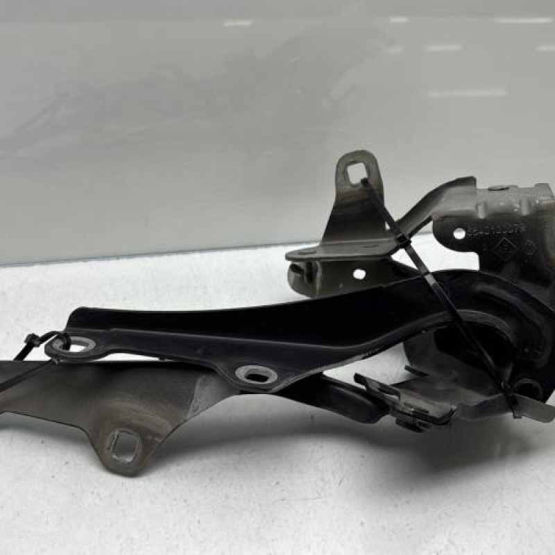 Charniere de capot RENAULT LAGUNA 3 Photo n°1