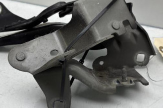 Charniere de capot RENAULT LAGUNA 3