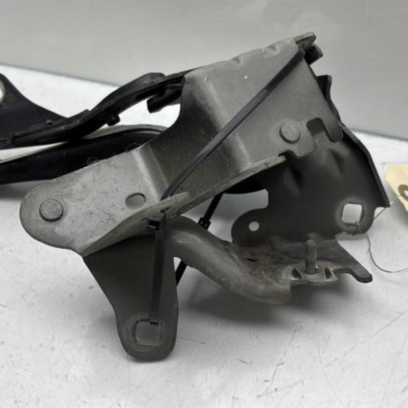 Charniere de capot RENAULT LAGUNA 3 Photo n°3