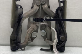 Charniere de capot FORD FIESTA 6 Photo n°1