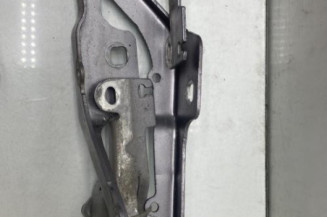 Charniere de capot PEUGEOT 2008 1 Photo n°1