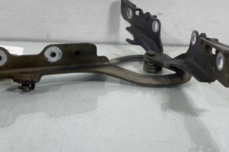 Charniere de capot CITROEN C2 Photo n°1