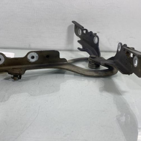 Charniere de capot CITROEN C2 Photo n°1