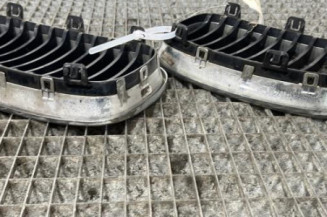 Calandre BMW SERIE 1 E88