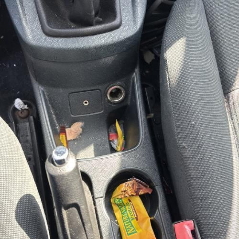 Porte arriere droit FORD FIESTA 6 Photo n°19