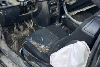 Custode avant droit (porte) PEUGEOT 207