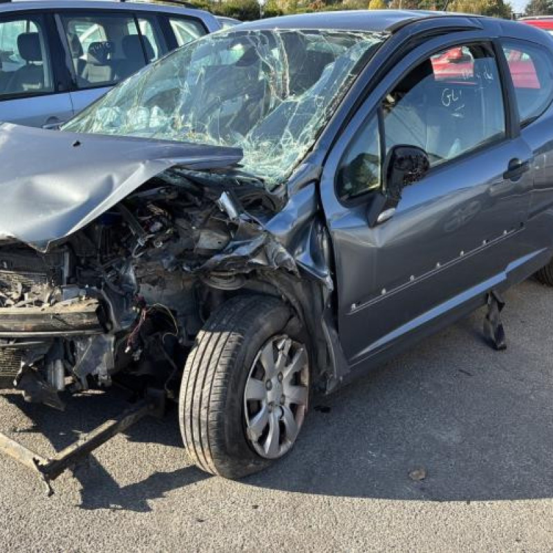 Custode avant droit (porte) PEUGEOT 207 Photo n°6