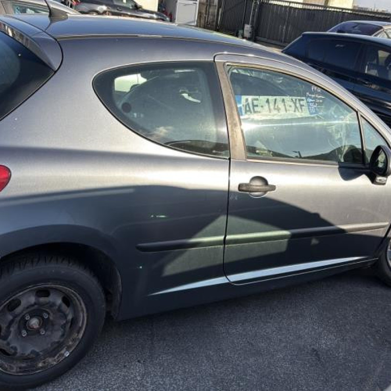 Custode avant droit (porte) PEUGEOT 207 Photo n°11