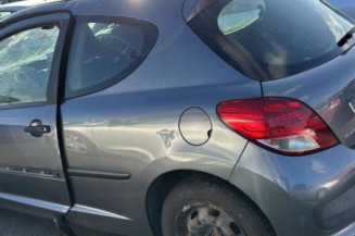 Custode avant droit (porte) PEUGEOT 207