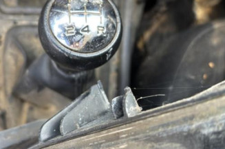 Custode avant droit (porte) PEUGEOT 207