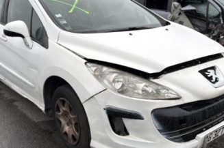 Malle/Hayon arriere PEUGEOT 308 1