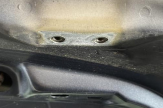 Malle/Hayon arriere CITROEN C4 1