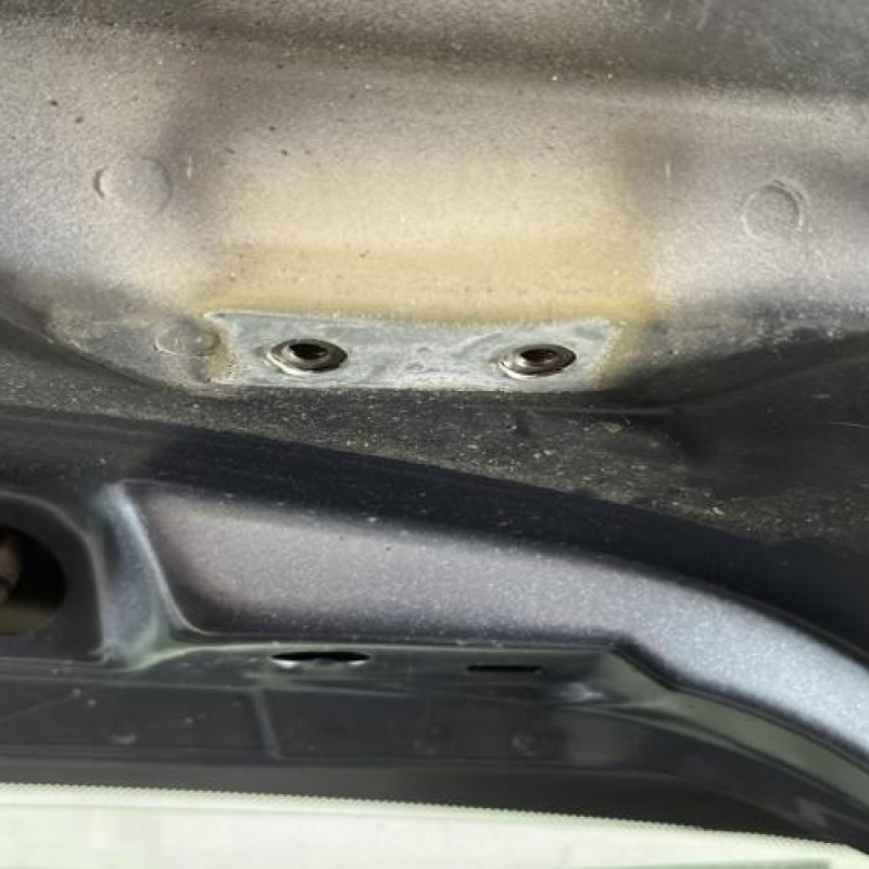 Malle/Hayon arriere CITROEN C4 1 Photo n°7