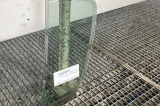 Custode arriere gauche (porte) RENAULT CLIO 3