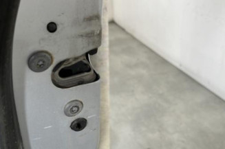 Porte arriere gauche CITROEN C5 2