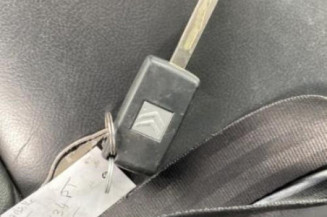 Porte arriere gauche CITROEN C5 2