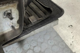 Porte avant droit RENAULT CLIO 3