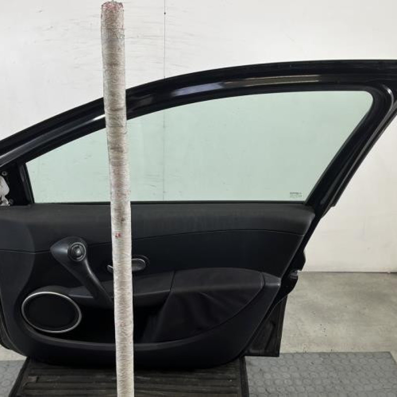Porte avant droit RENAULT CLIO 3 Photo n°7