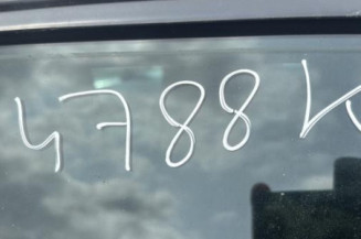Porte avant droit RENAULT CLIO 3