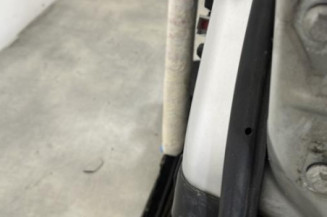 Porte avant gauche FORD FIESTA 6