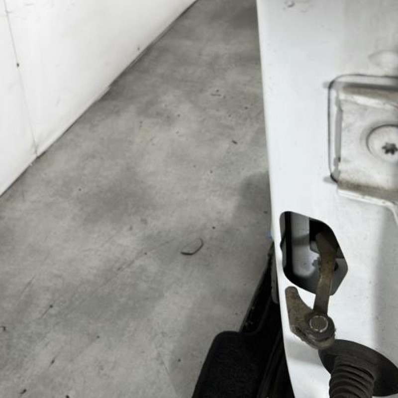 Porte avant gauche CITROEN BERLINGO 2 Photo n°4