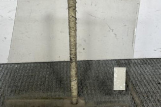 Vitre arriere droit PEUGEOT 205