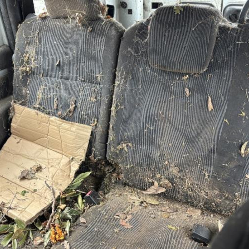 Vitre arriere droit DACIA LOGAN MCV 1 Photo n°15