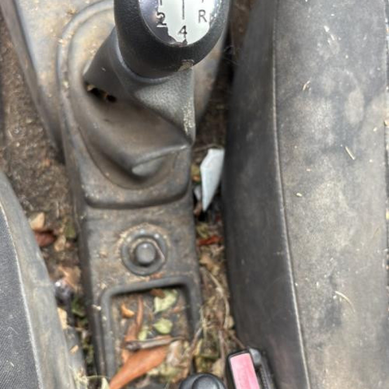 Vitre arriere droit DACIA LOGAN MCV 1 Photo n°19