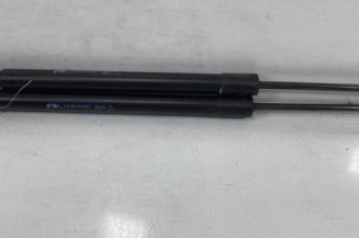 Verin de coffre PEUGEOT 2008 2 Photo n°1