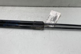 Verin de coffre RENAULT MEGANE 4 Photo n°1