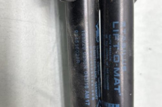 Verin de coffre RENAULT KADJAR