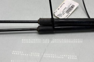 Verin de coffre RENAULT KADJAR