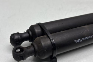 Verin de coffre RENAULT VEL SATIS
