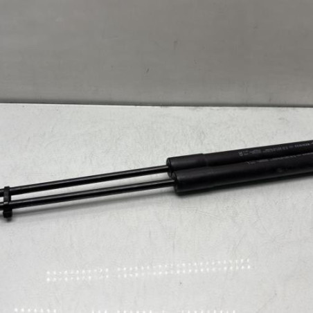 Verin de capot RENAULT MEGANE 4 Photo n°1