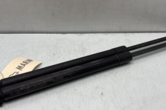 Verin de coffre RENAULT MEGANE 4 Photo n°1