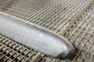 Baguette de porte avant droite CITROEN XSARA PICASSO Photo n°1